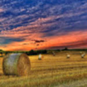 Meet your Posher, Gilbert